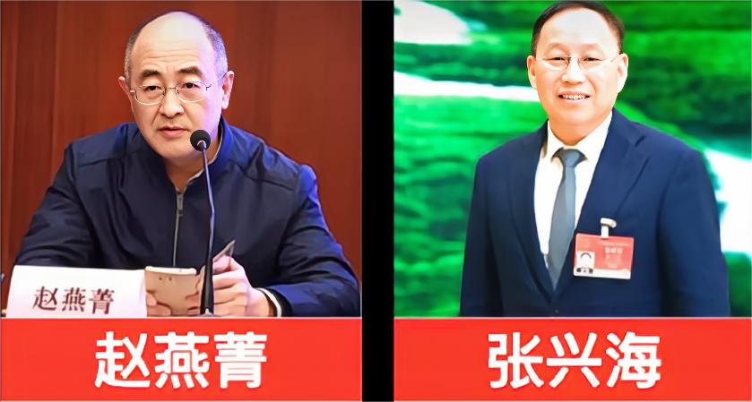 语出惊人的专家建议，网友建议专家不要建议