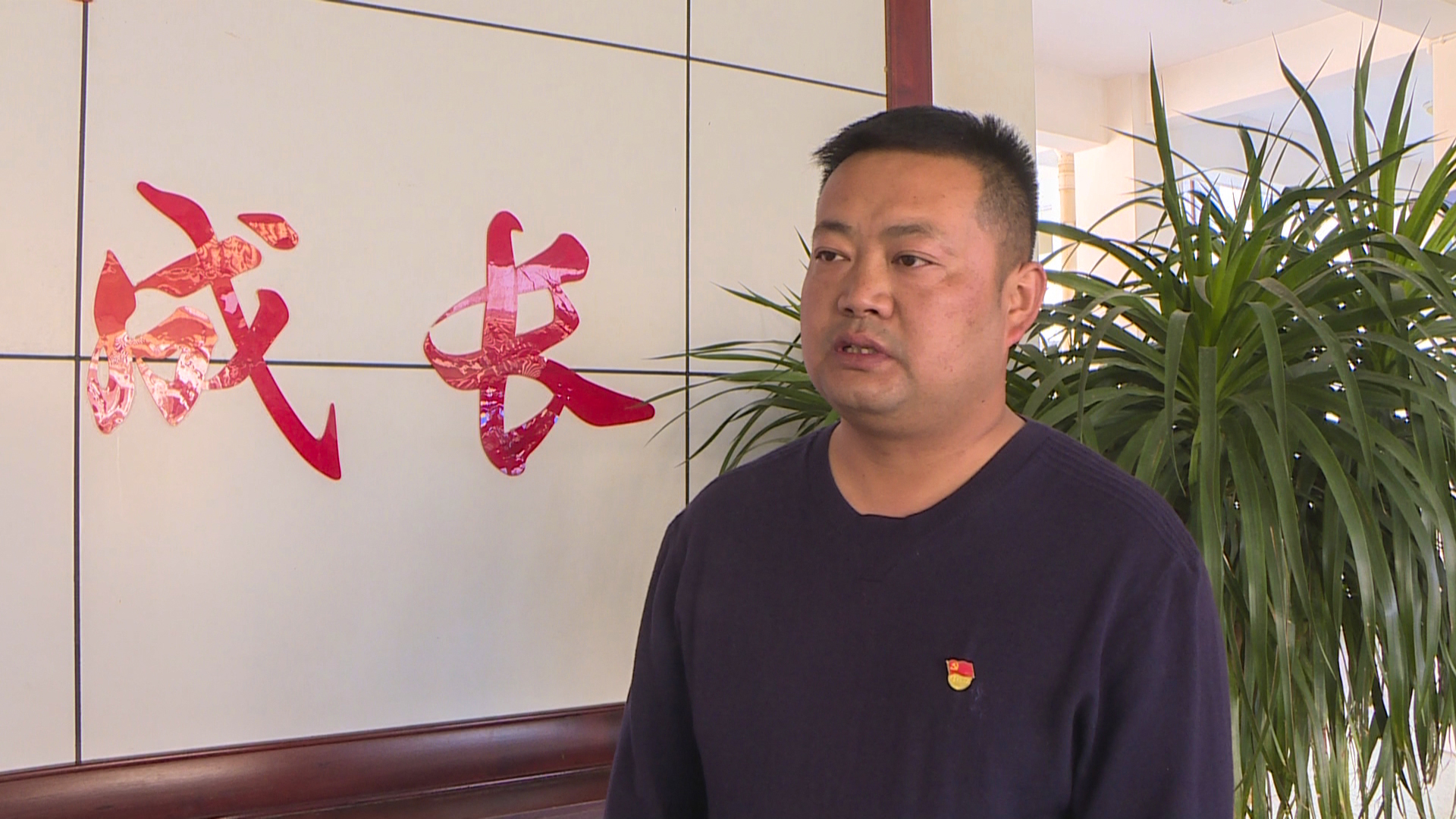 提升教育质量打造教育强镇,乡镇教育高质量发展实施方案