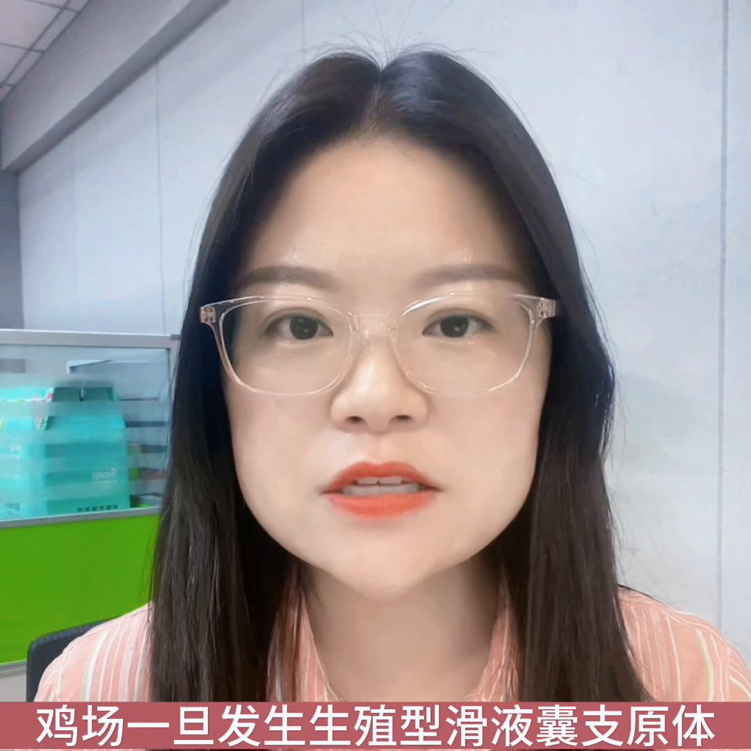 蛋鸡生殖型滑液囊支原体，常见的3种解决办法，你知道吗？...