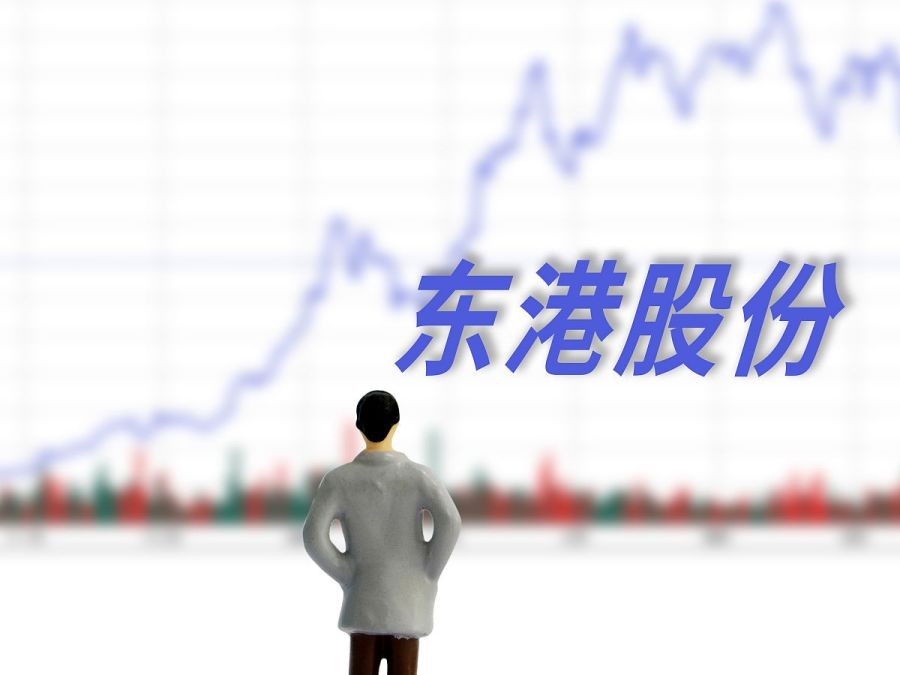 东港股份龙头企业,东港股份2020年