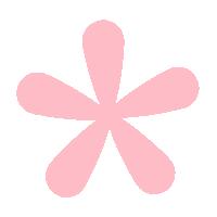 实名编制！广西政府驻广州办事处直属事业单位招聘工作人员，25日起报名！