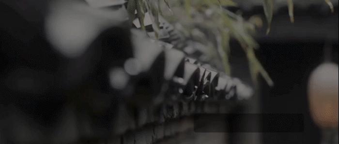 热力学视角下龙卷流背景下涡丝的熵变及平衡能量分析