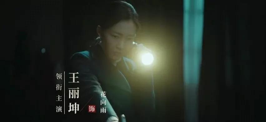 9.8分以上电视剧2022谍战剧,2022谍战剧排行榜前十名