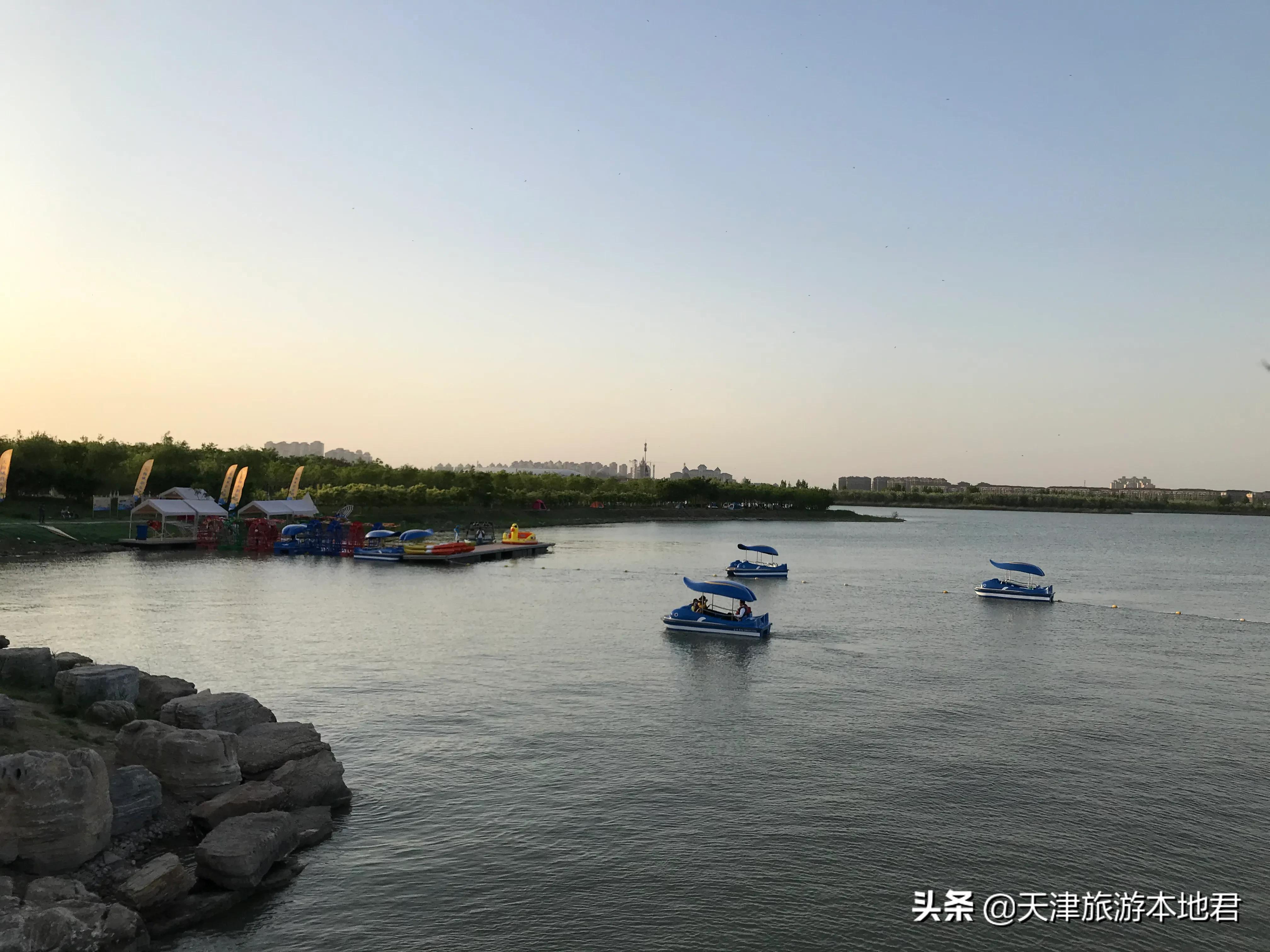 天津东丽湖公园荷花节什么时候开,东丽郊野公园好还是东丽湖公园好