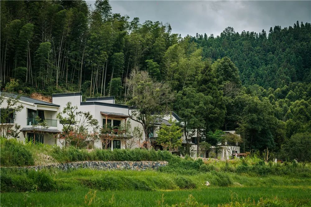 宏村小众景区,宏村山野小院