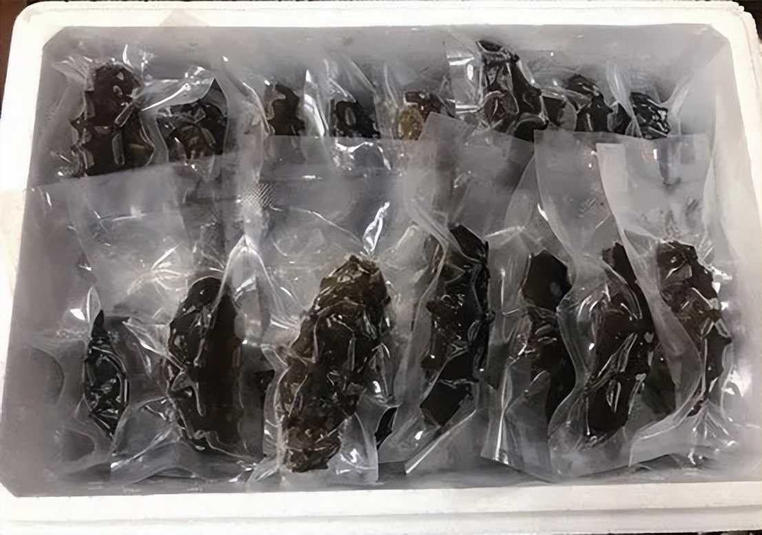 海参稍微泡变质了但是不臭能吃吗,活海参可以直接冷冻吗会不会变质