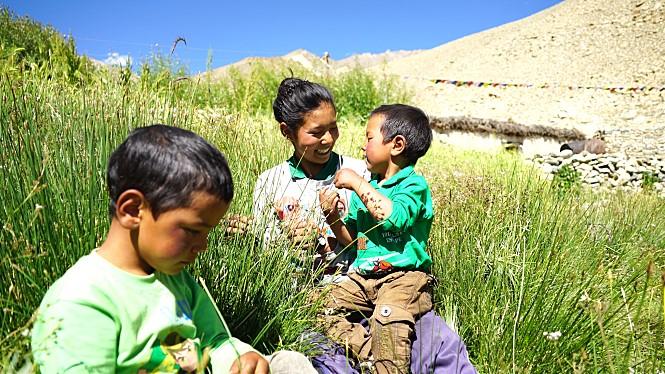 尼姑苦行僧徒步行走,一个出家尼姑的艰辛出家经历