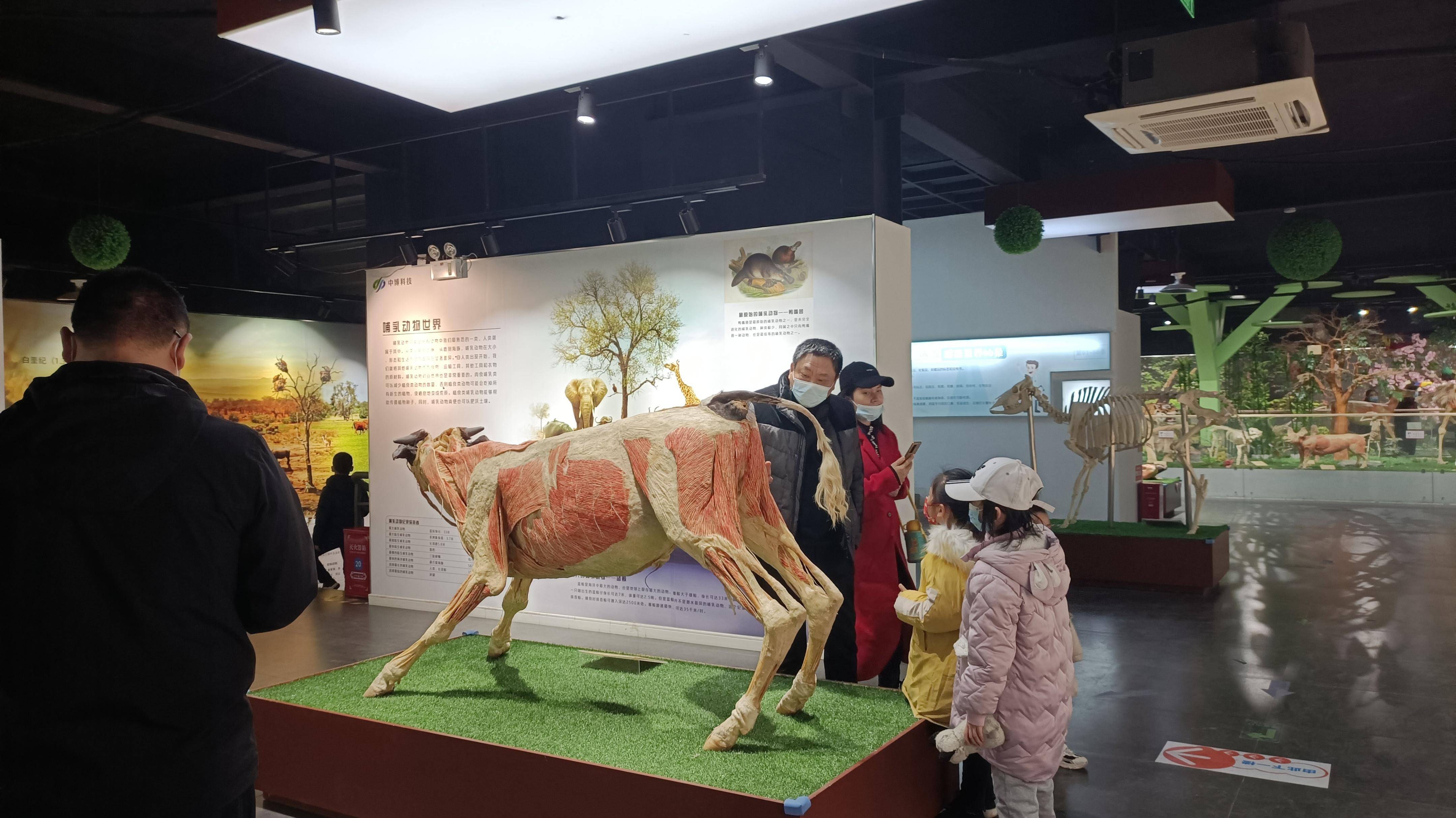 郑州春节遛娃游玩排行榜前十名,郑州冬季周末遛娃好去处