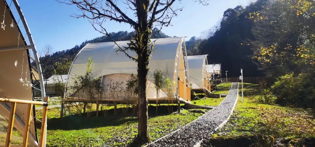 黑竹沟火把节现场视频,黑竹沟晚会