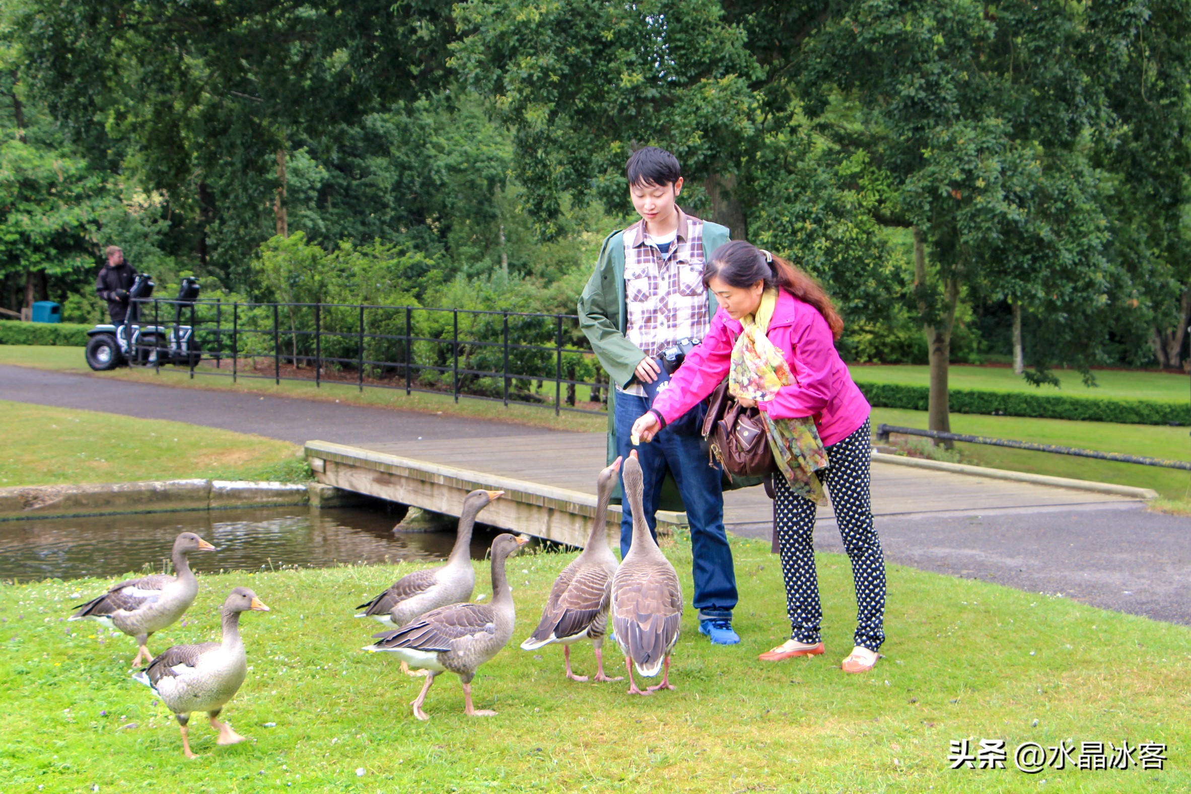 英国之行伦敦,英国剑桥游