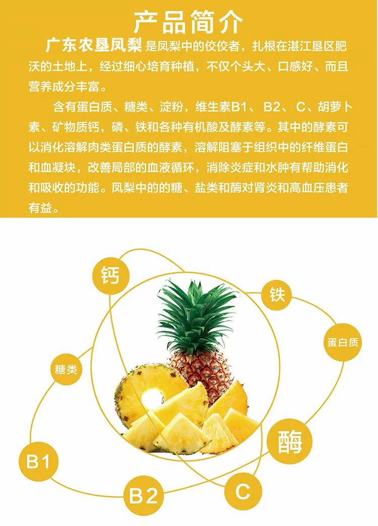 遇上凤梨，了解一个外表粗糙、内心甜美的“热带水果姑娘”！