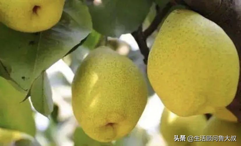 北京市的世界文化遗产有哪些,首批农业文化遗产