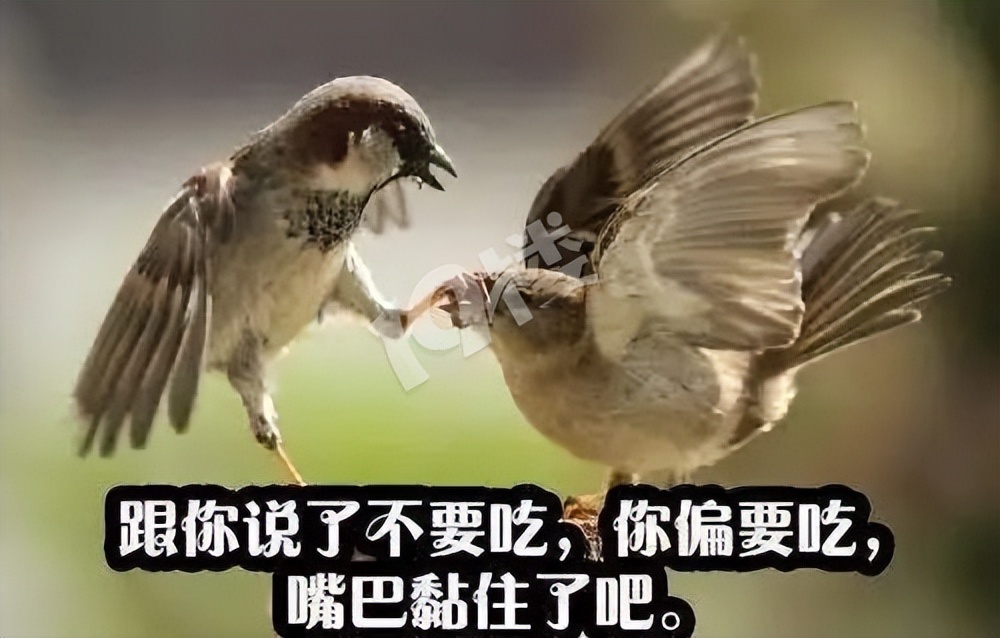 二十四节气立春习俗是什么,二十四节气中立春的习俗