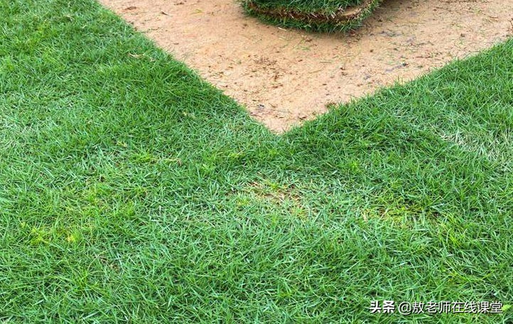 园林景观设计学习好物,园林景观造型专业知识