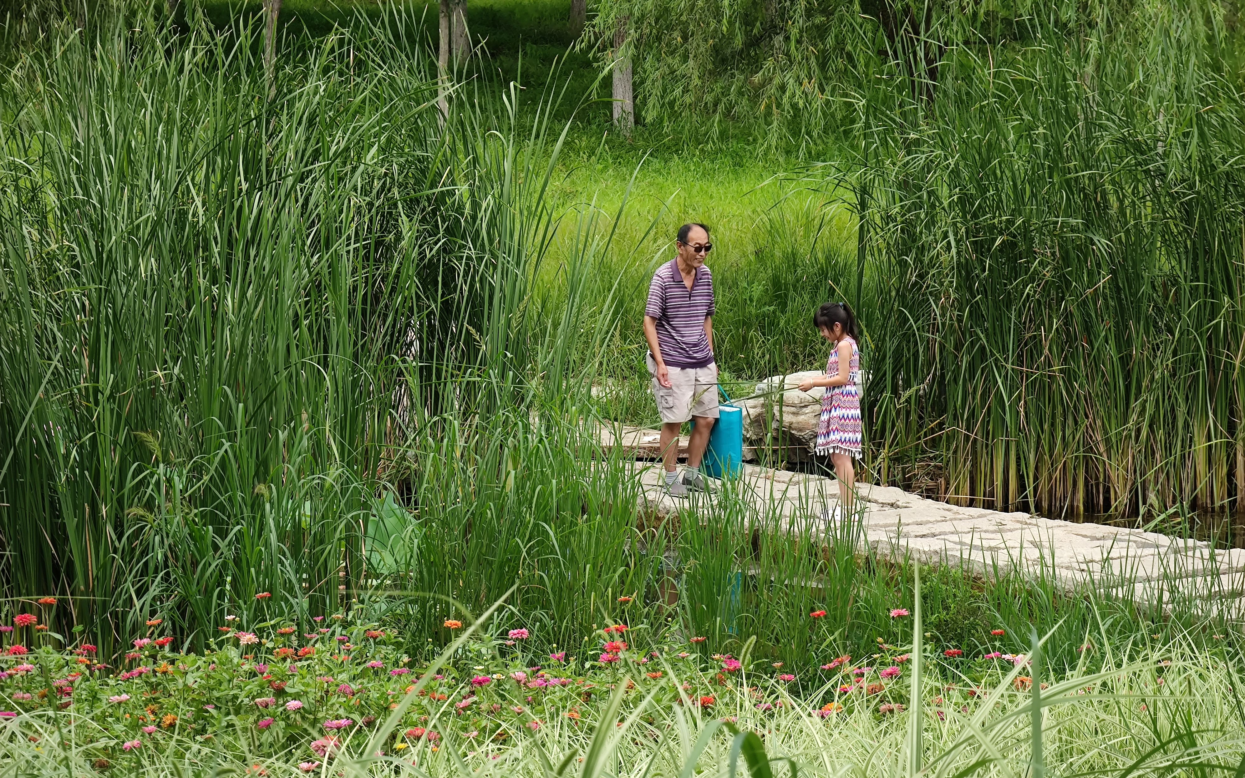 城市绿心打造首都生态金名片,北京城市绿心森林公园获国际大奖