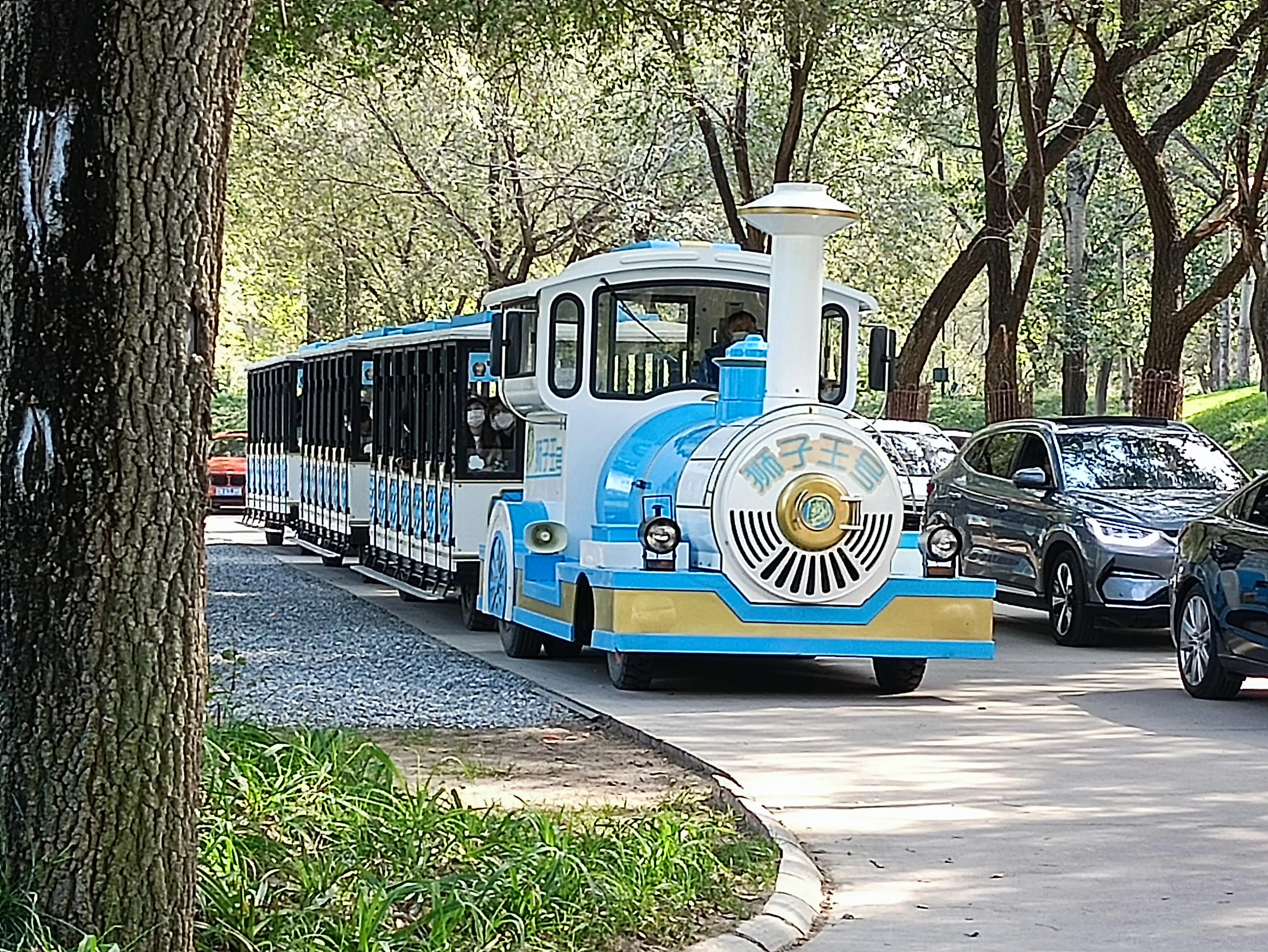 北京动物园和北京野生动物园区别,北京野生动物园狗妈妈和老虎狮子