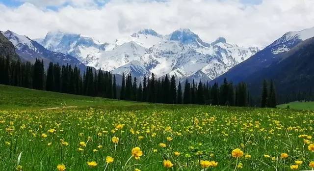 这条惊艳奇绝的公路,行走在天山脊梁上的最美景观公路