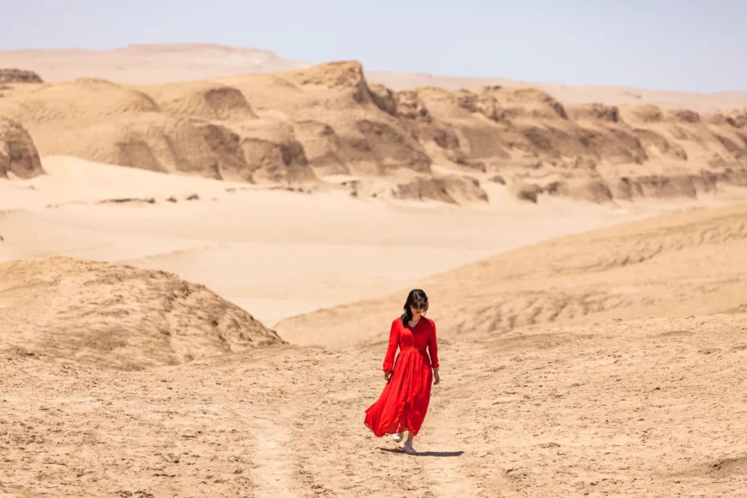 夏天哪里看油菜花最美,夏天去哪里看油菜花最好