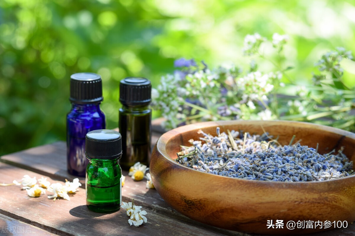 老板创富内参,创富项目内参