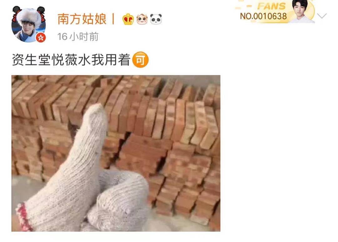 爆款资生堂散粉,资生堂十大必买经典款