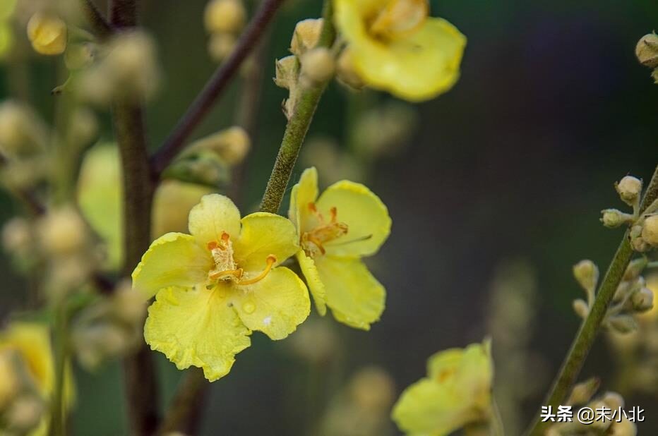 开挂必须要知道的知识,开挂需要知道的知识