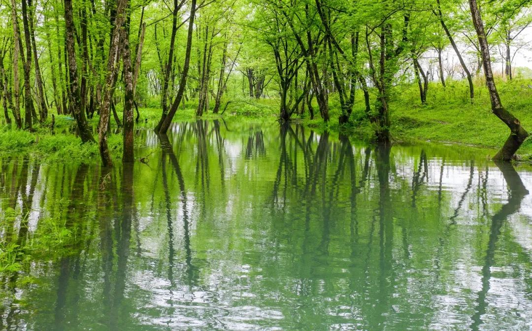 浙江十大公路自驾,浙江神仙居自驾游2-3天推荐