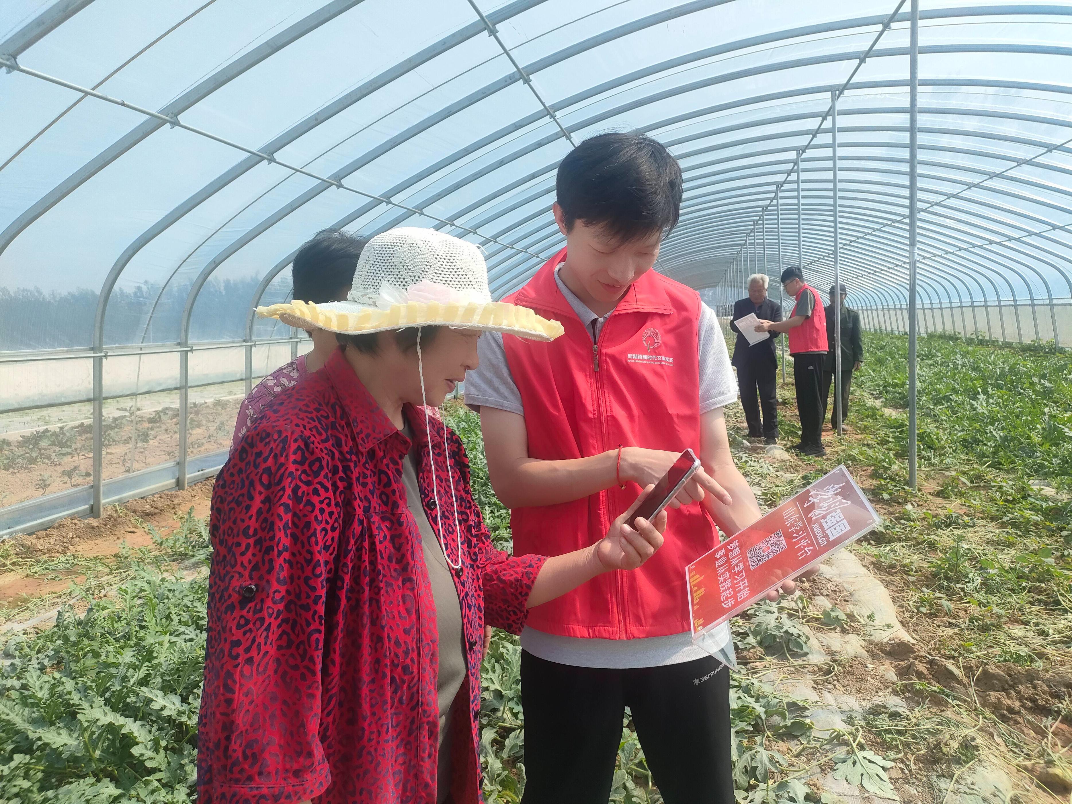 多措并举开展学习强国乡镇,学习强国新湖镇学习排名