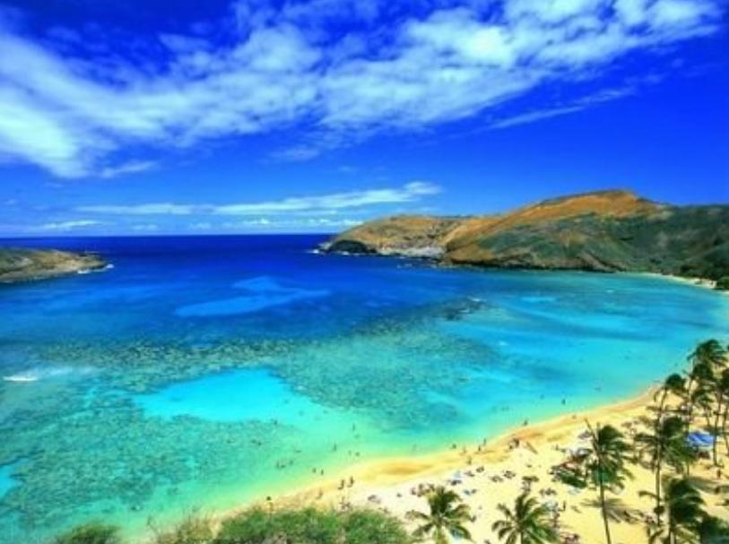 美国的旅游经济发展模式,全球旅游电子商务发展概况