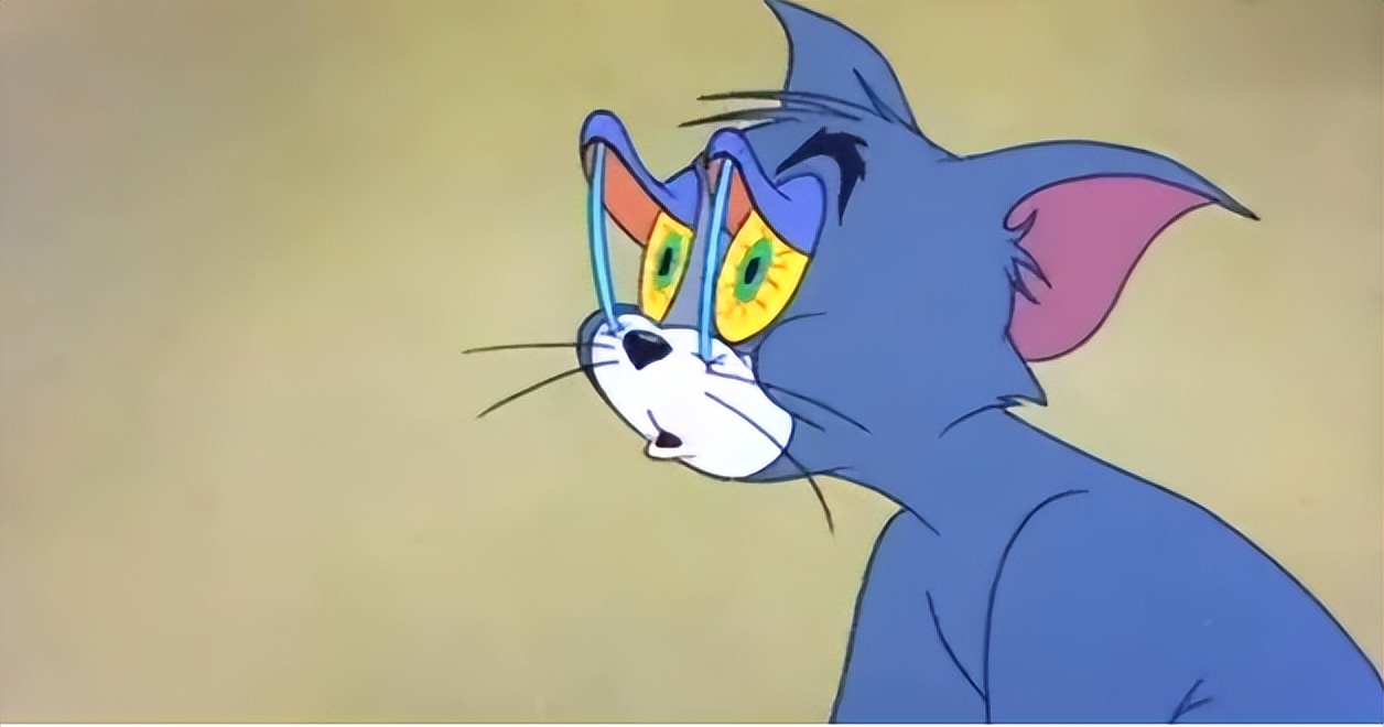 鱼眼睛有没有眼皮,鱼有没有眼皮