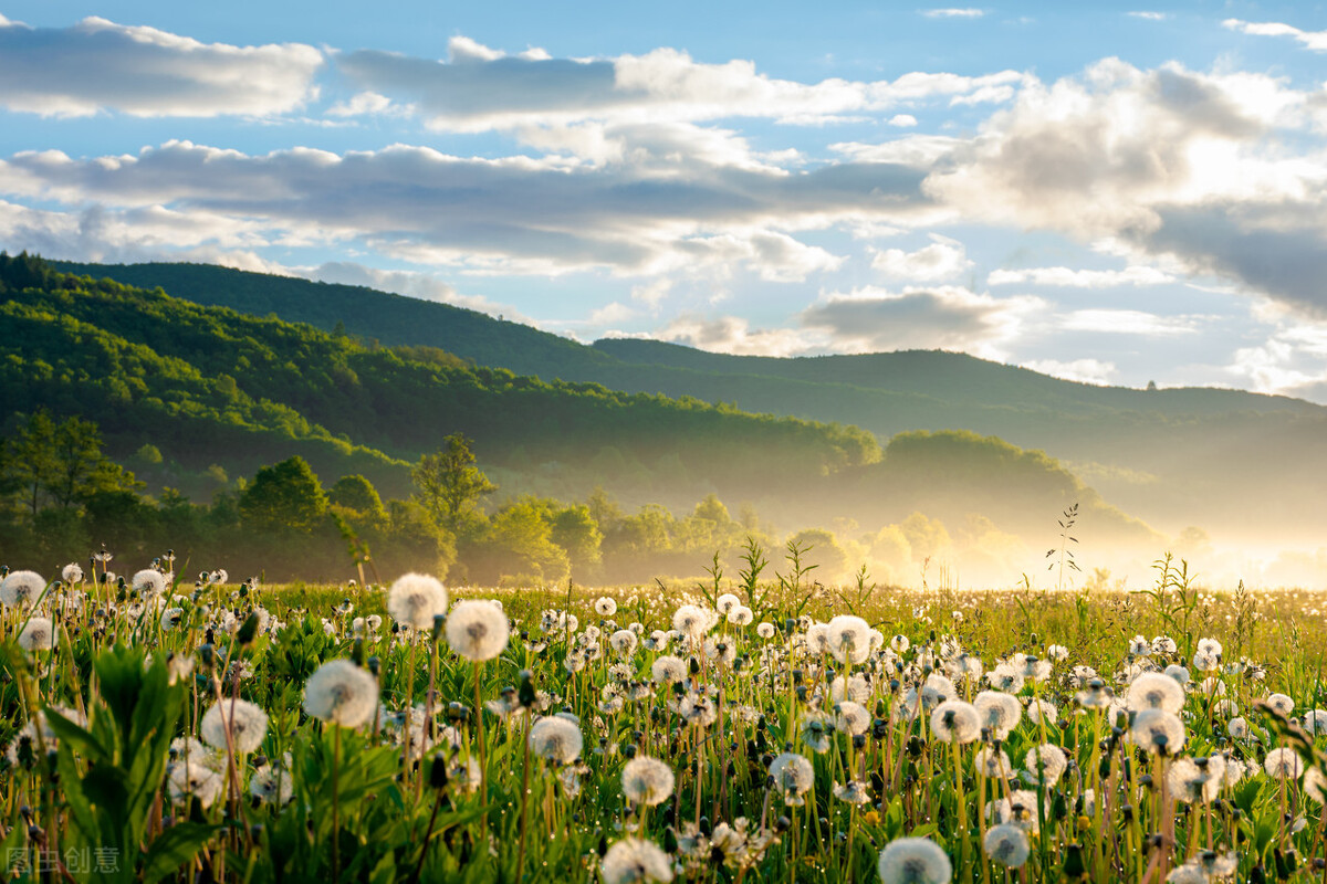 出国打工正规出路,出国打工目前最好的选择