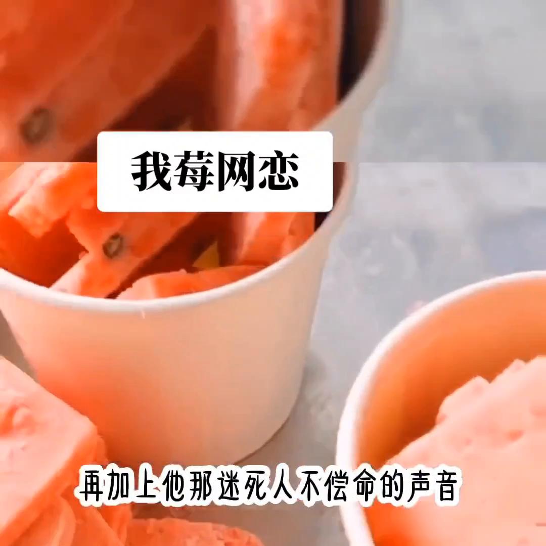 书|名：《我莓网恋》@DOU+小助手