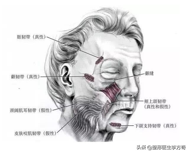 除皱针真的能让人变年轻吗,抗衰针与除皱针有啥区别