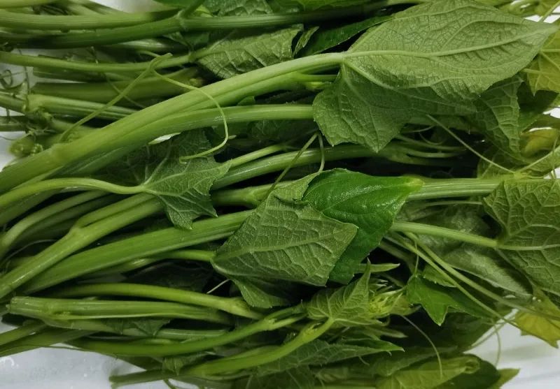 果实怎么炖汤好喝,果子叶怎么煮好吃窍门