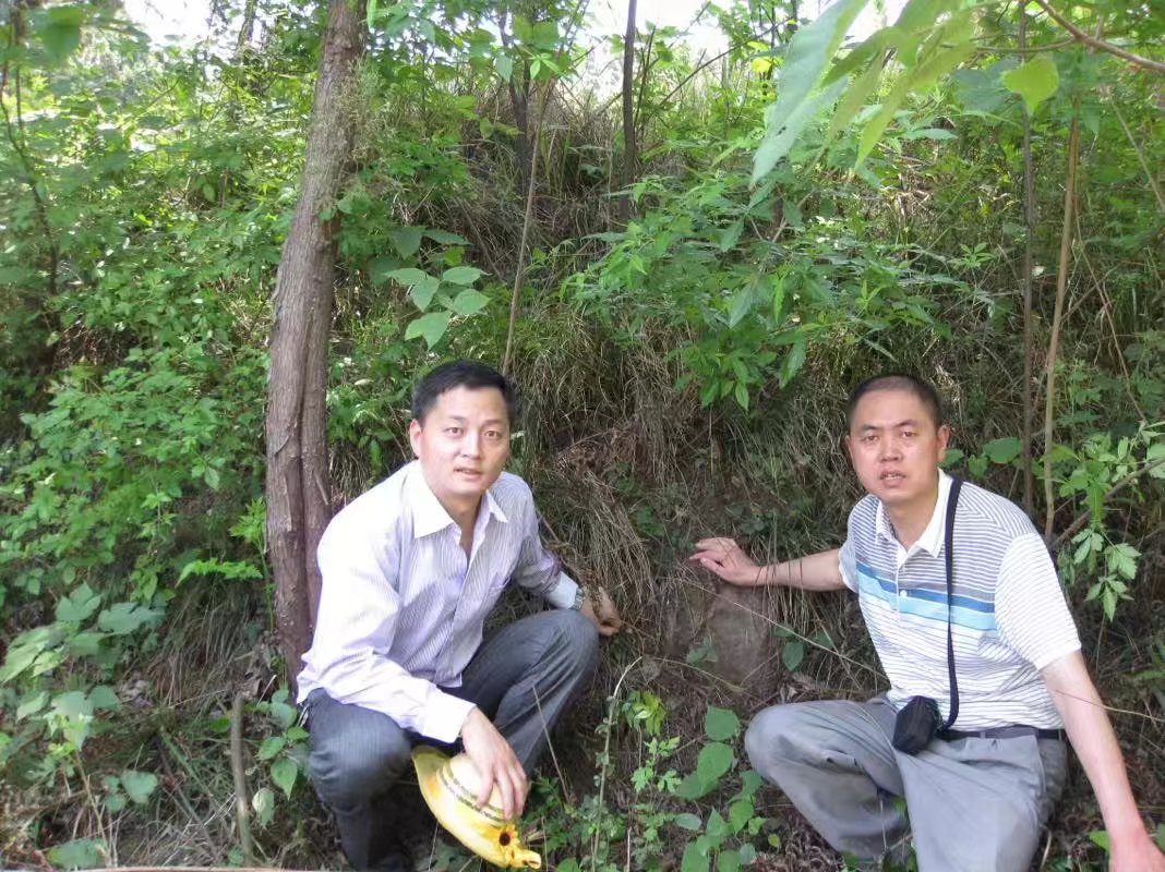宁化谢氏寻根寻亲信息,谢氏寻根寻祖