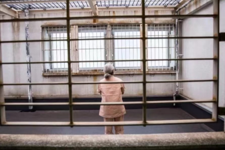 鏃ユ湰璀︽柟鎵粍琛屽姩鑰佸勾鍗栨帆鍥紮,鏃ユ湰鎵粍浜哄憳