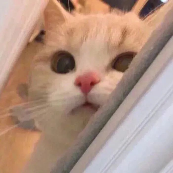 抖音网红动漫头像,抖音怎么拍动漫头像