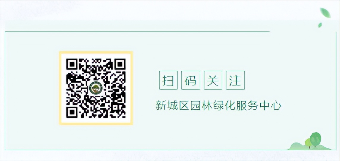 城市景观提升和市容环境同步提升,城市面貌提升绽放新颜值