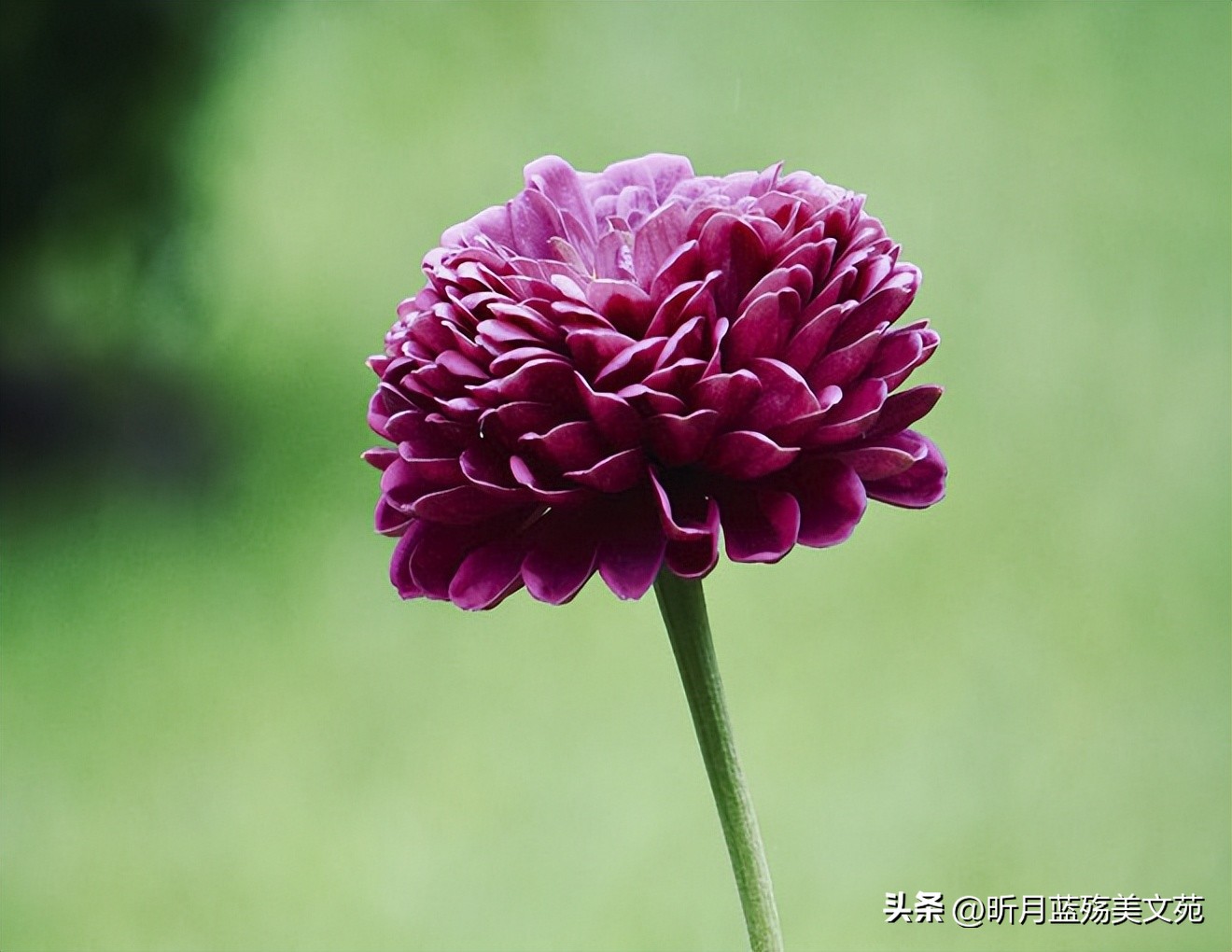 默默的守护着你什么意思,我会默默守护着你下一句