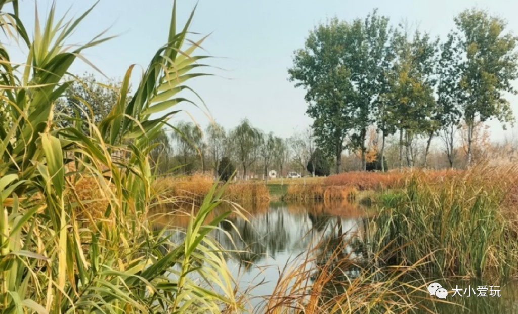 可以遛娃的公园,适合遛娃旅游的公园