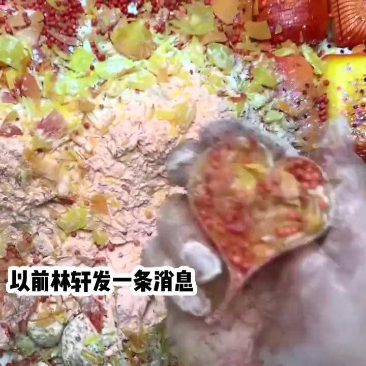 余佳欣居然反过来舔林轩了?#解压