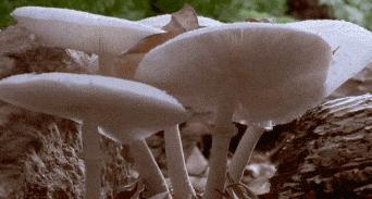 紧急提醒最近千万别碰什么东西,紧急提醒最近不能碰的东西