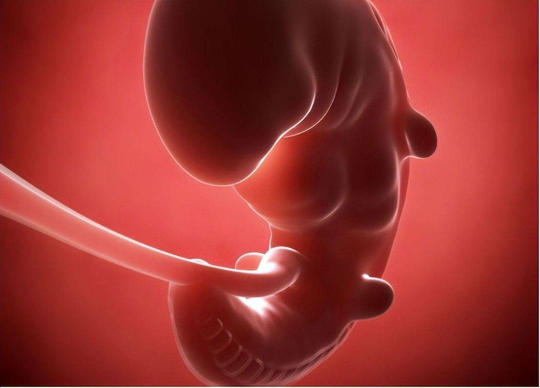 镉超标会引起哪种疾病,镉偏低的危害