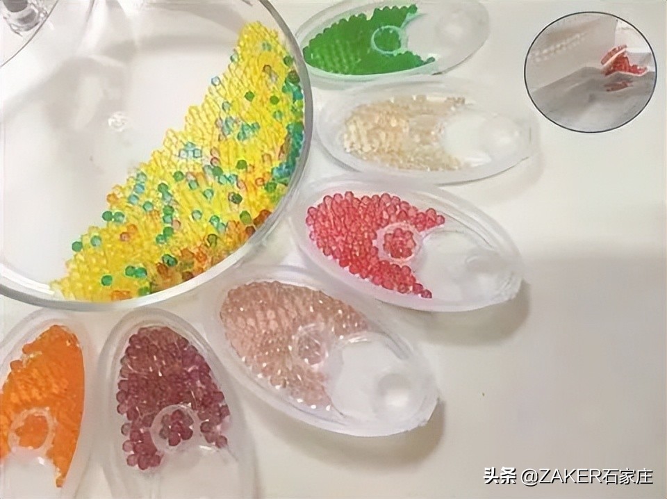 石家庄大熊猫贤贤还活着吗,大熊猫贤贤跟谁一起去石家庄