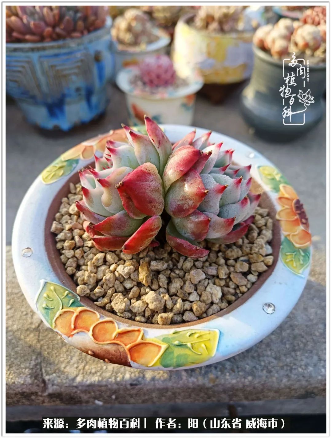 浜洪棿鐑熺伀鑷湁涓囧崈棰滆壊,浜洪棿鐑熺伀鐨嗘槸骞冲嚒棰滆壊