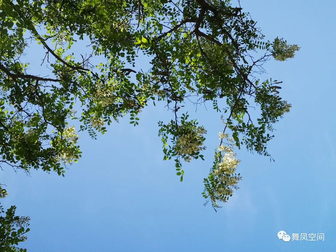 西山国家森林公园海拔,西山国家森林公园昆明