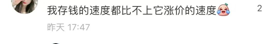 chanel必买的10件单品,chanel最新一期