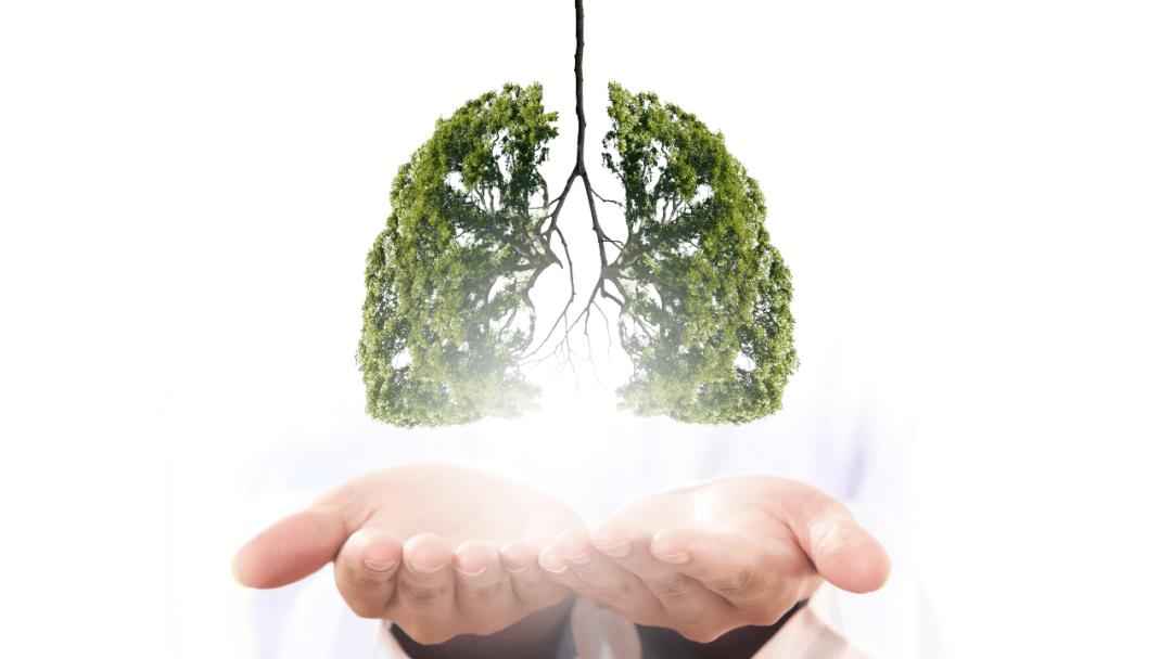 香烟市场迎来大调整5亿烟民,香烟市场迎来大调整真实吗