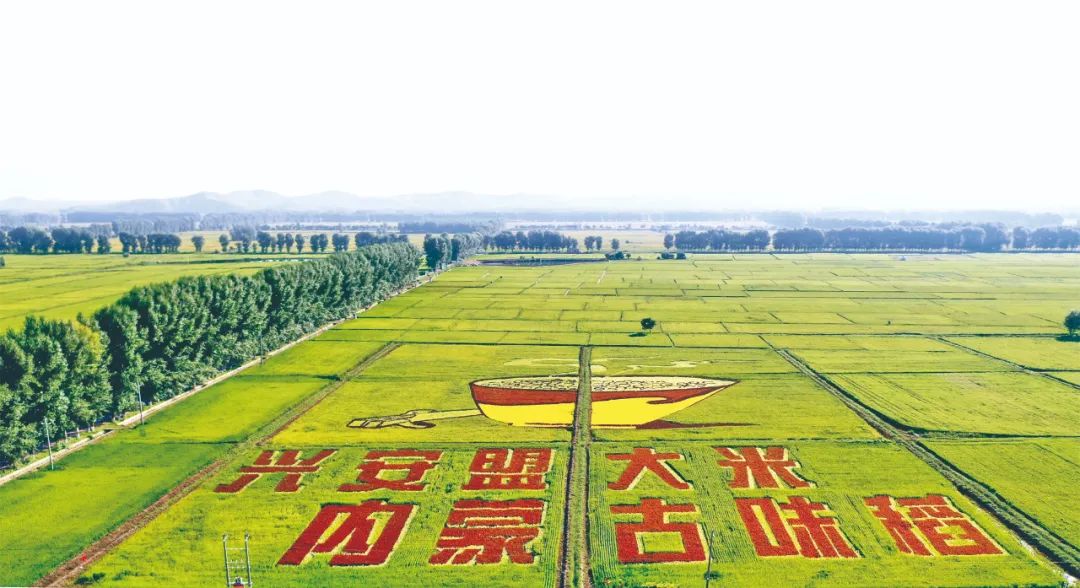 中国内蒙古自治区兴安盟,走进内蒙古兴安盟