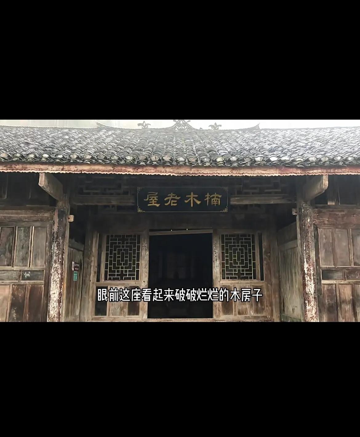 农村发现一棵金丝楠木价值一个亿,最贵的房屋价值八个亿金丝楠木