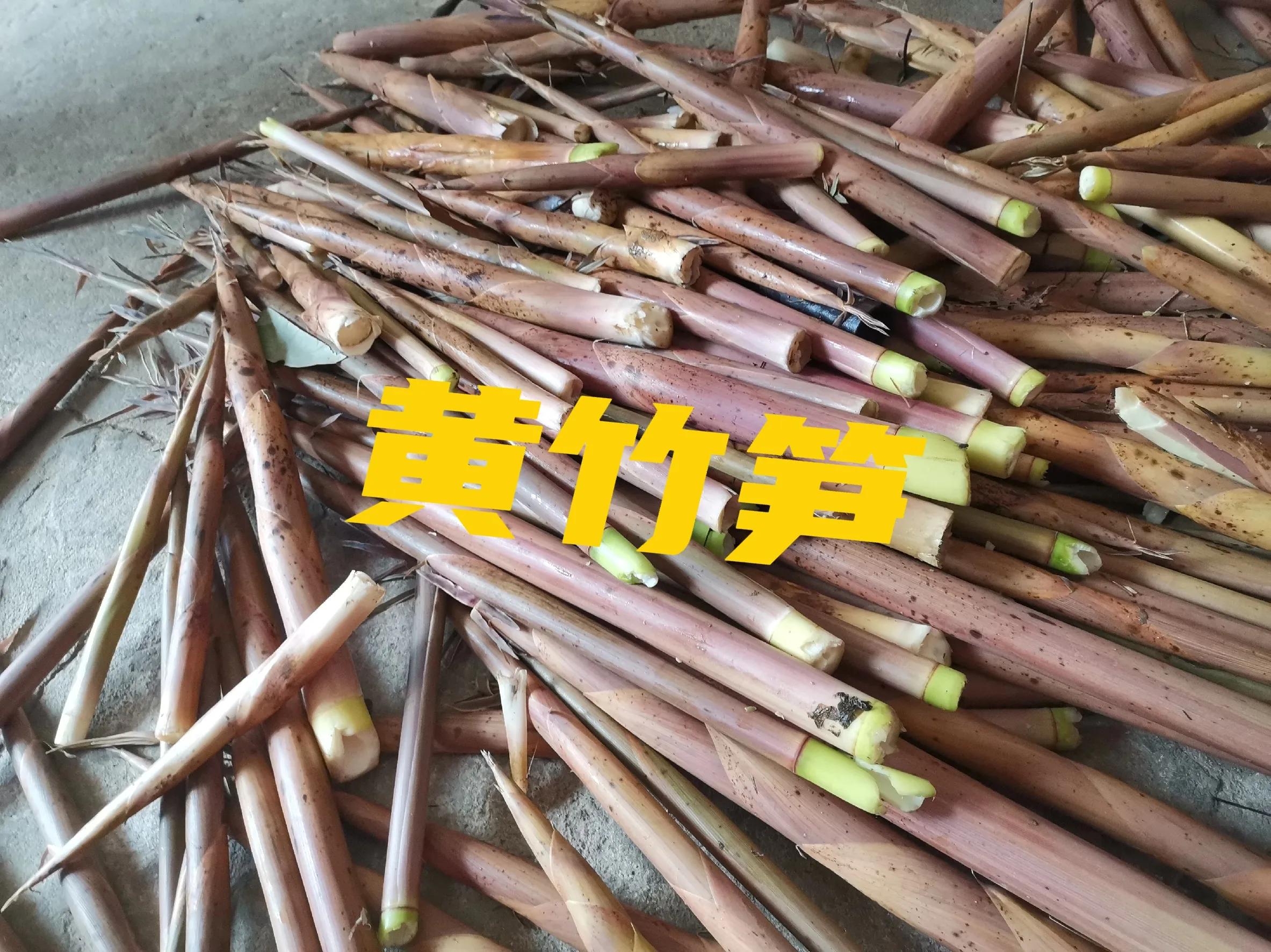 野生竹笋干是怎样做成的,野生竹笋能做干笋吗